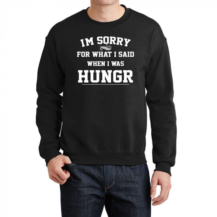 i'm sorry for what i said when i was hungry sign